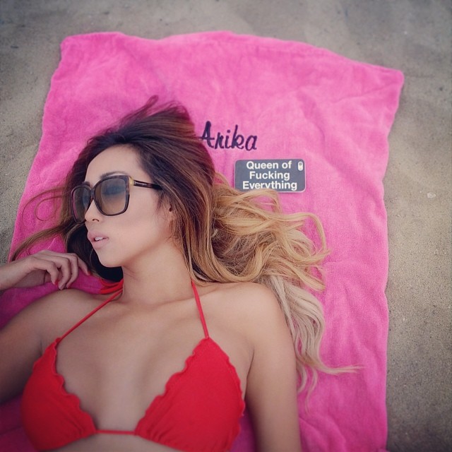 Arika Sato Bikini and Lingerie Pictures (62 pics)